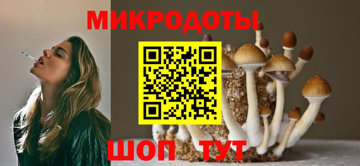 Краснокаменск  Псилоцибиновые грибы прущие грибы  Вход с VPN 