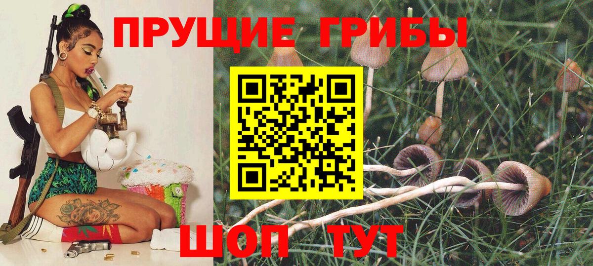 Псилоцибиновые грибы GOLDEN TEACHER Краснокаменск